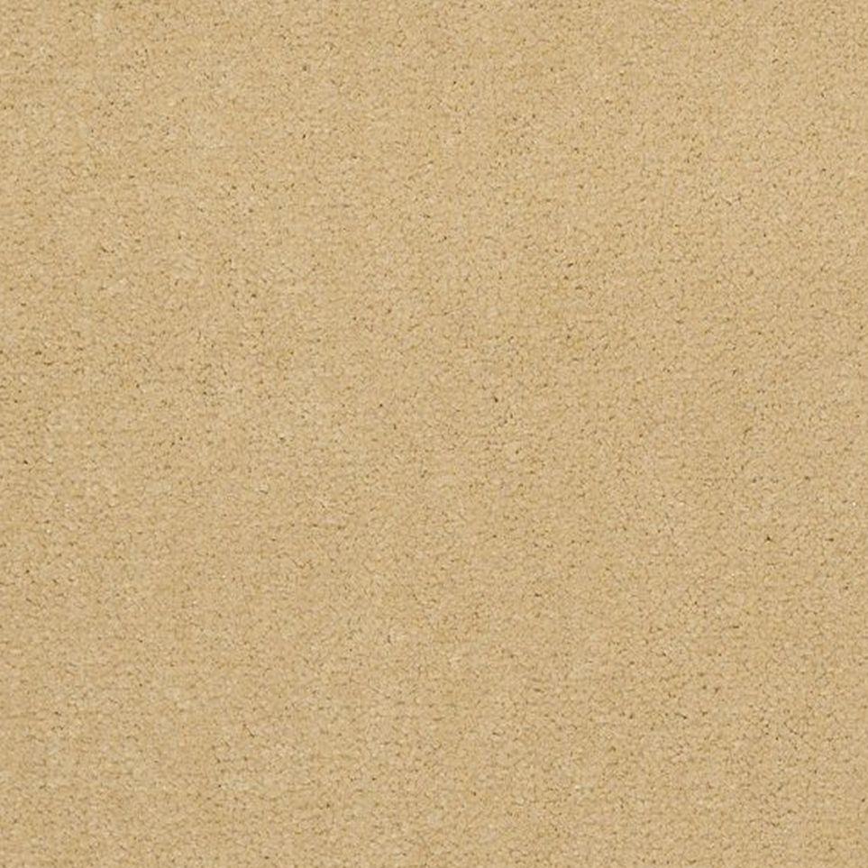 Vanilla Zoomed Swatch