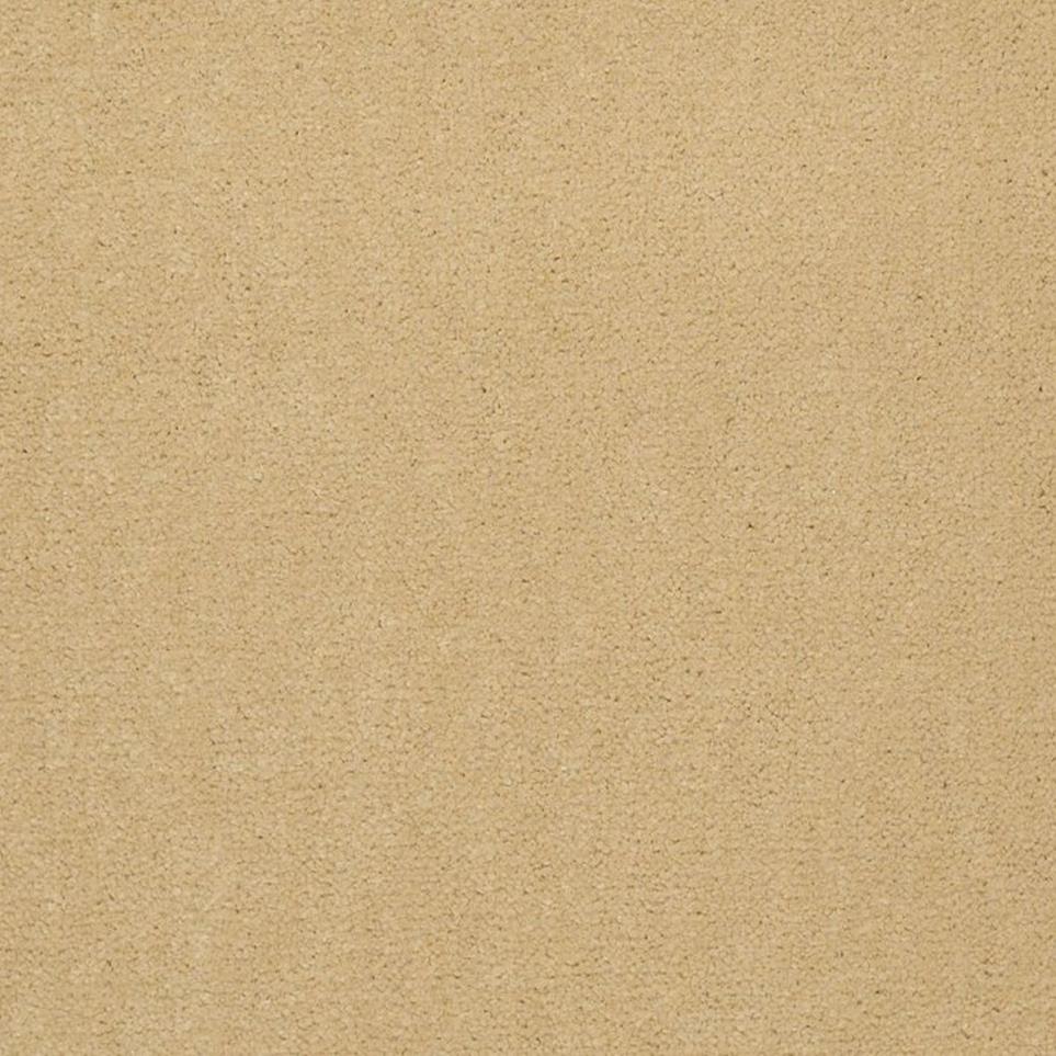 Vanilla Swatch