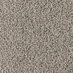 Soft Eloquence - Dragonfly Swatch