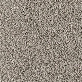 Dragonfly Zoomed Swatch