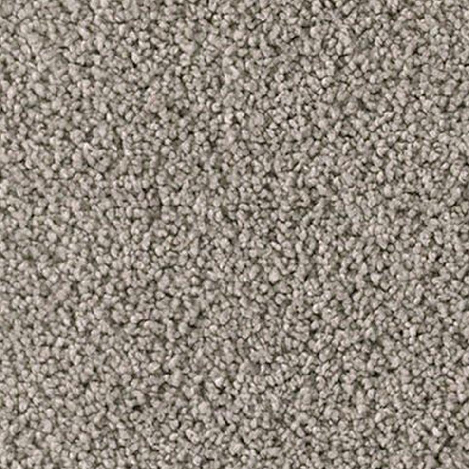 Dragonfly Zoomed Swatch