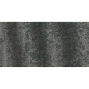 Encompass TL - Established Swatch