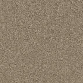 Avalon Bay - Powdered Gold Swatch