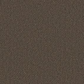 Sarajevo Bl - Nut Shell Swatch