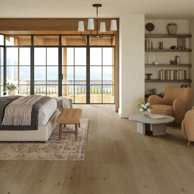 Room Scene