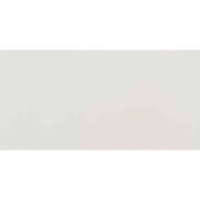 White Polished Swatch Thumbnail