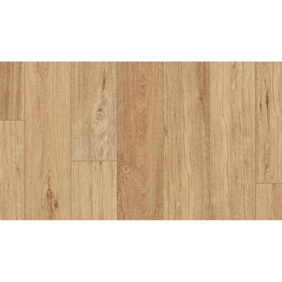 Lyric Oak Swatch