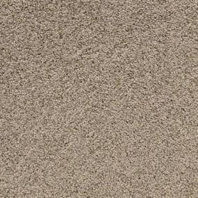 Pacific Grove - Pelican Swatch