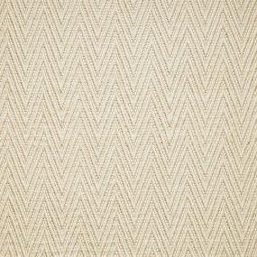 Ivory Swatch