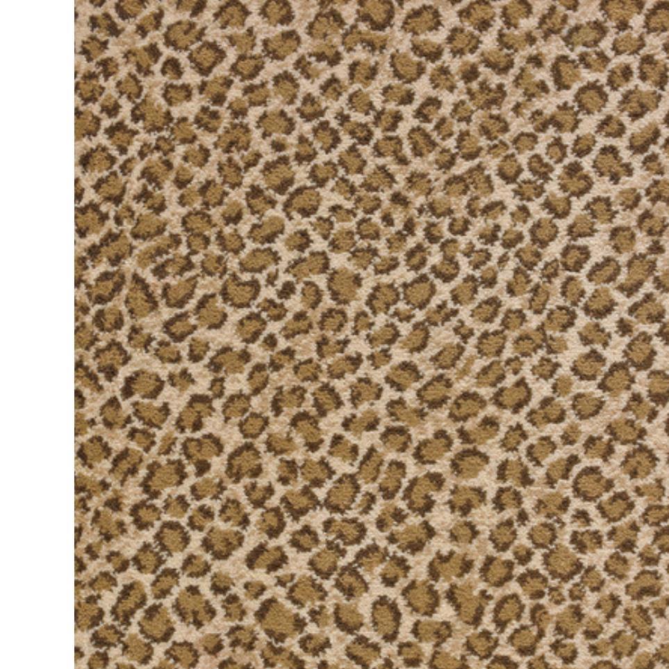 Beige Brown Zoomed Swatch
