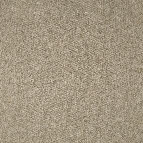 Kodiak Swatch Thumbnail