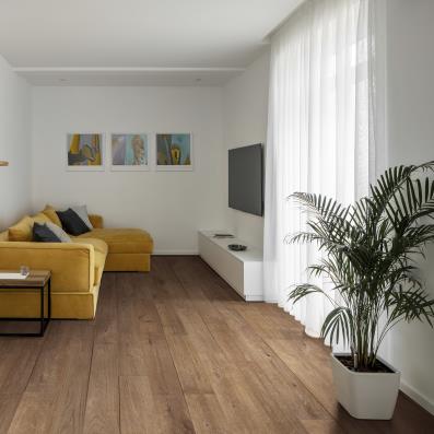Room Scene