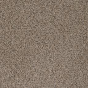 Step Up - Cinder Swatch