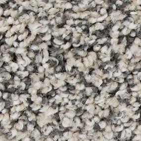 Champagne Swatch