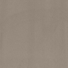 On View - Linen Swatch