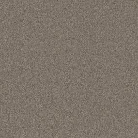 Cedar Swatch