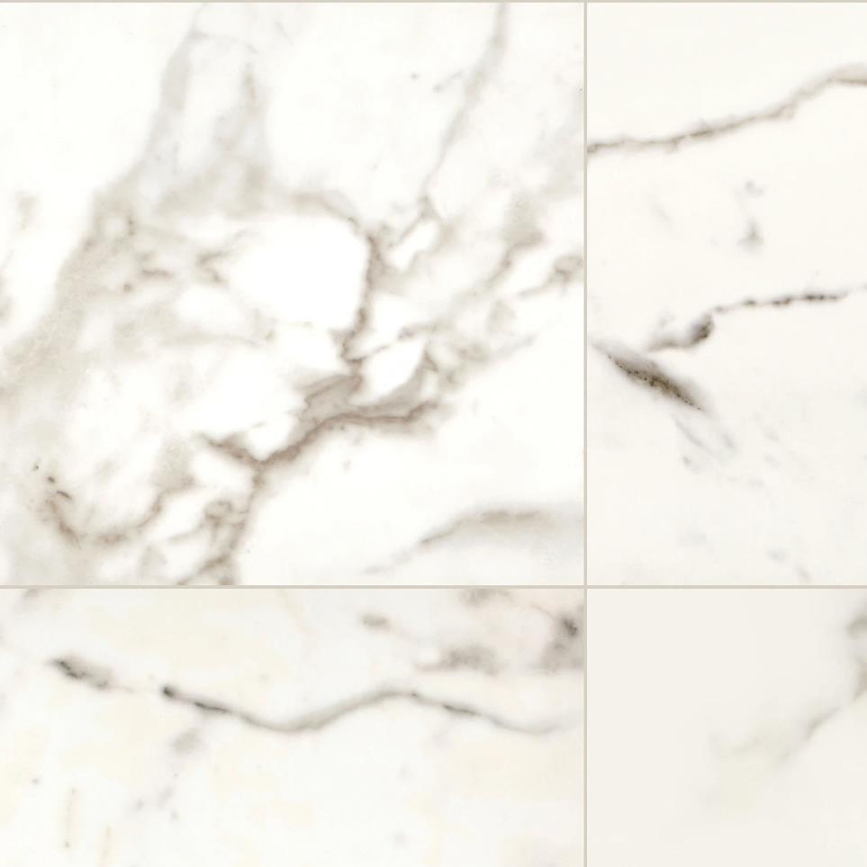 Calacatta Polished Zoomed Swatch