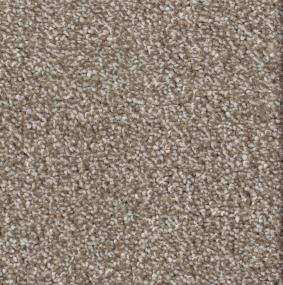 Plan To Succeed I - Cork Swatch