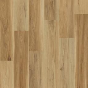 Elevate - Sonesta Swatch