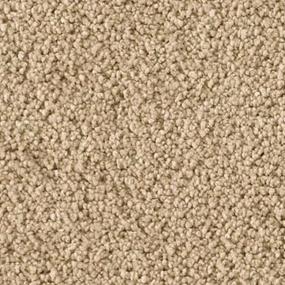 Optimism Zoomed Swatch