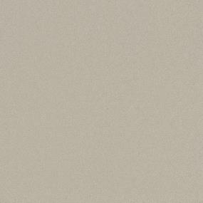 Whisper Willow - Timeless White Swatch