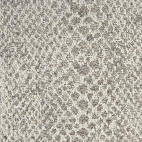 Cobblestone Zoomed Swatch
