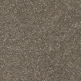 Amethyst Grove II - Urban Swatch