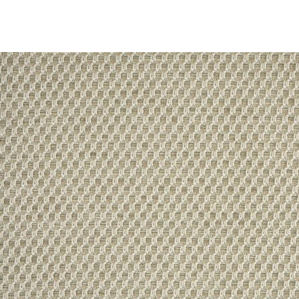 Shell Zoomed Swatch