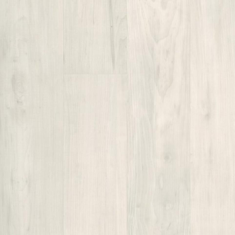 Pale Mushroom Zoomed Swatch