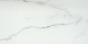 Visconde Matte 12X24 - Silver Swatch