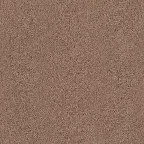 Tribute - Shandur Swatch