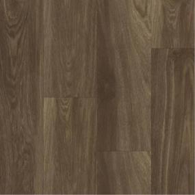 Southern Oak Swatch