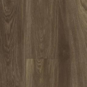 Southern Oak Zoomed Swatch