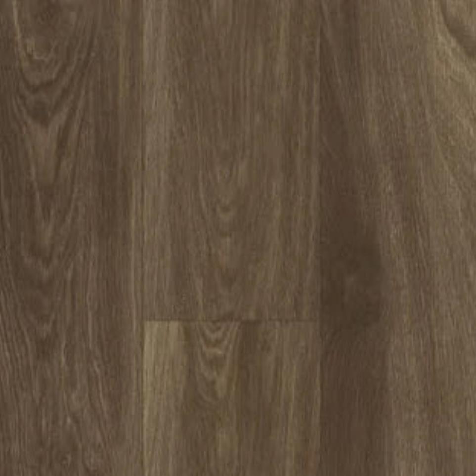 Southern Oak Zoomed Swatch