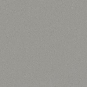 Silver Service Swatch Thumbnail