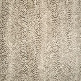 Amur - Oyster Swatch