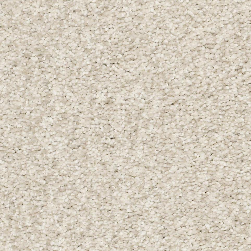 Timid Zoomed Swatch