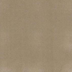 Awaken Spirit II 12 - Muffin Swatch