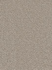 Follow The Leader II - Ash Swatch