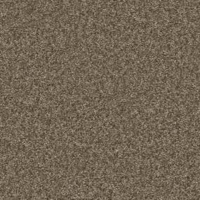 Rugged Tan Zoomed Swatch