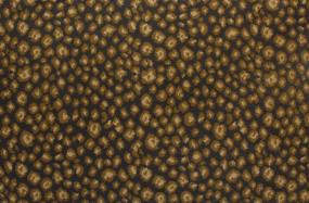 New Leopard