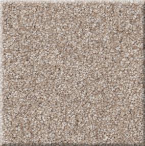 Plan To Succeed II - Barrel Swatch