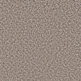 Let's Go Premiere - Whisperwood Swatch