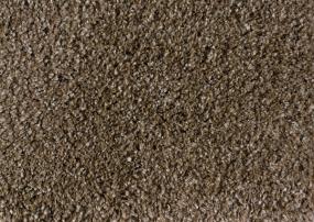 Shaggy Plush - Metallic Beige Swatch