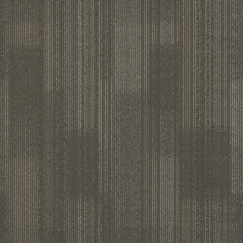Erasmus TL Swatch