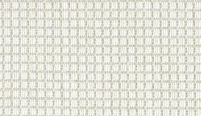 De Janeiro - Champagne Swatch