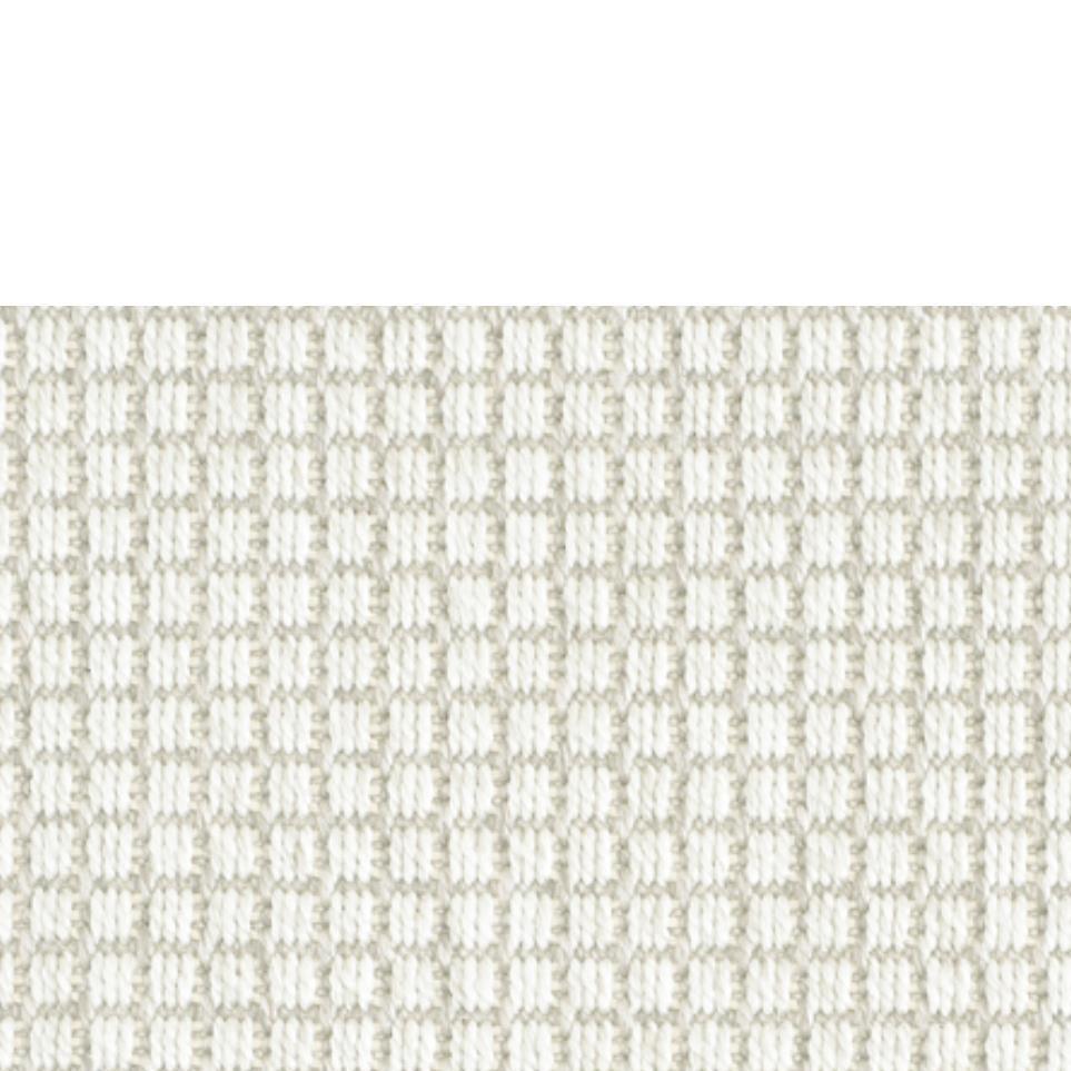 Champagne Zoomed Swatch