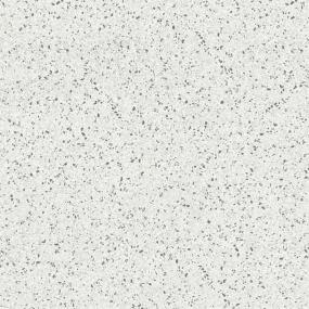 Bertoia White Matte Swatch
