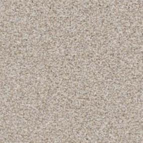 Top Dog - Shar-Pei Swatch