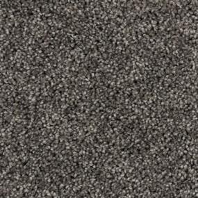 Shimmering Ray - Chocolate Cupcake Swatch